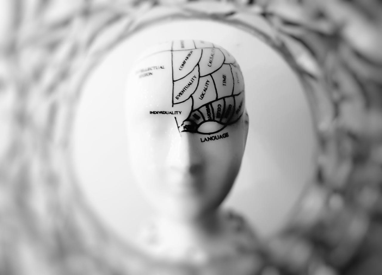 mindset antifragile-entrepreneur anonyme-strategie des fractales