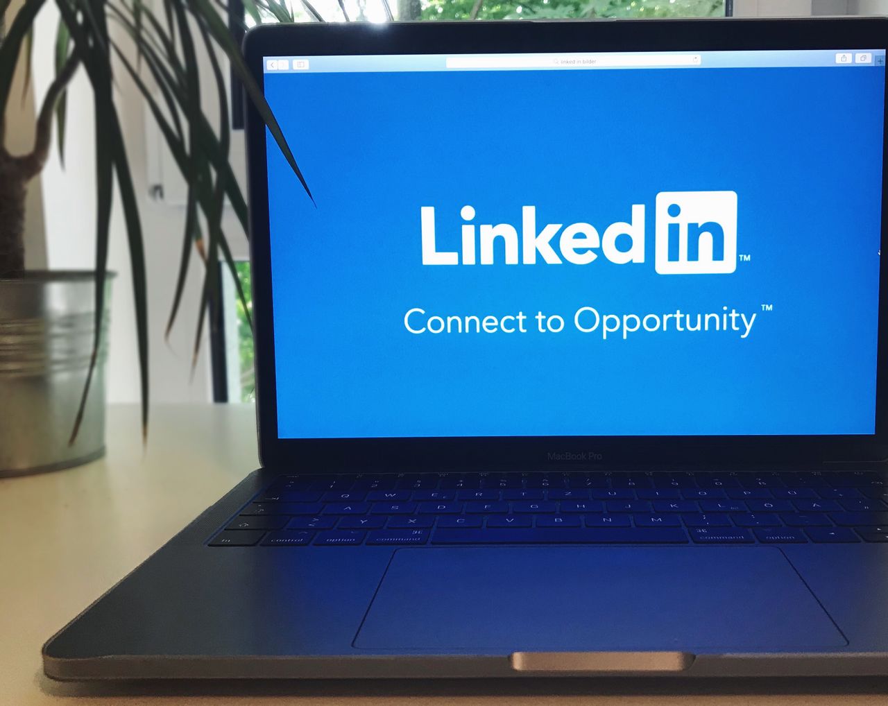 personal branding linkedin entrepreneur-entrepreneur anonyme-strategie des fractales