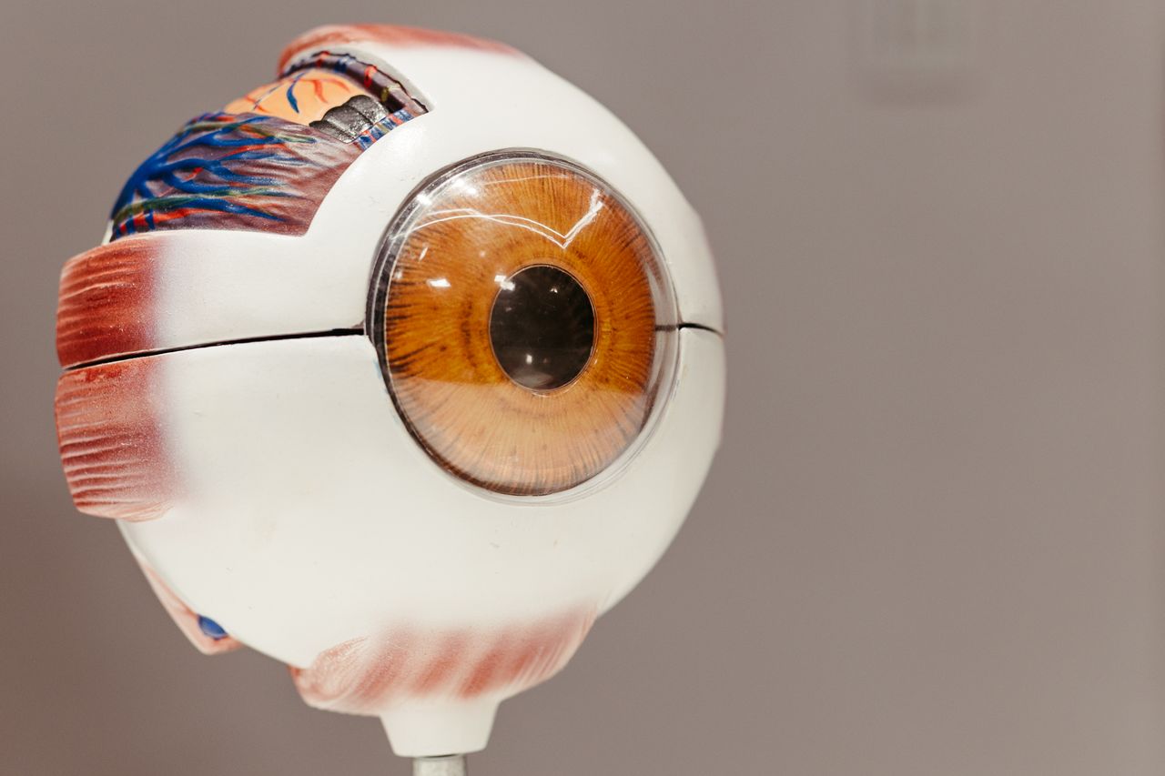 intelligence artificielle concurrence-strategie des fractales