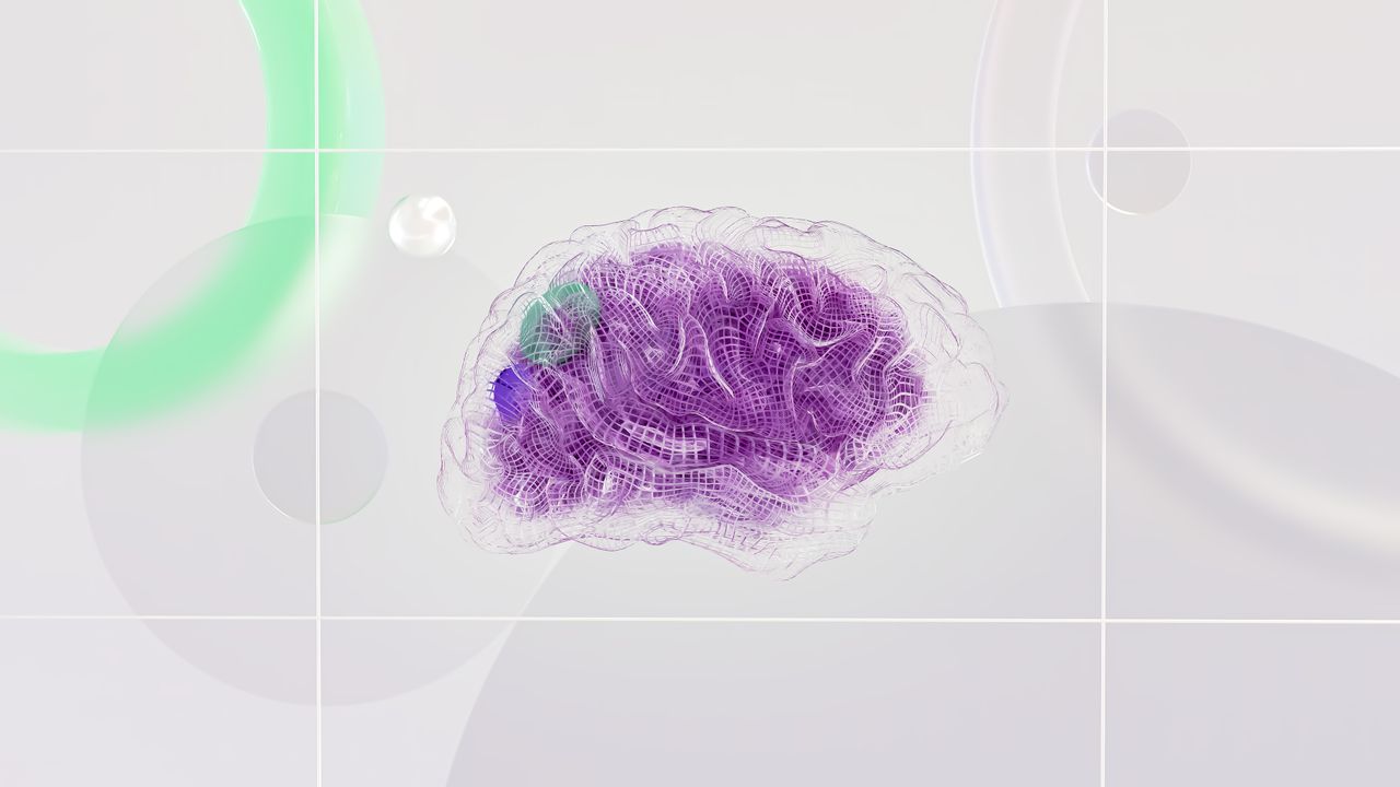 second cerveau PKM notion-strategie des fractales