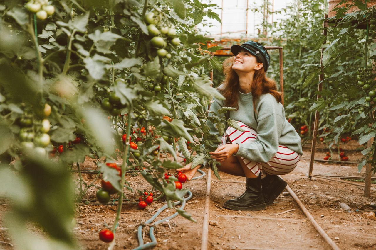 agri-tech startup agriculture-Entrepreneur Anonyme Stratégie des Fractales