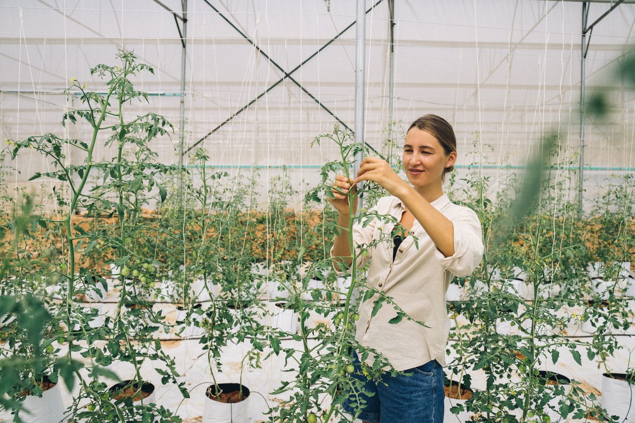 agri-tech startup agriculture-Entrepreneur Anonyme Stratégie des Fractales