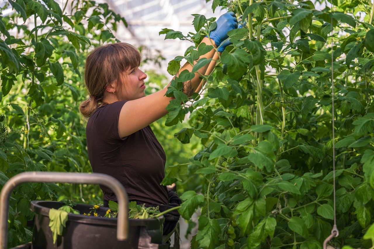 agri-tech startup agriculture-Entrepreneur Anonyme Stratégie des Fractales