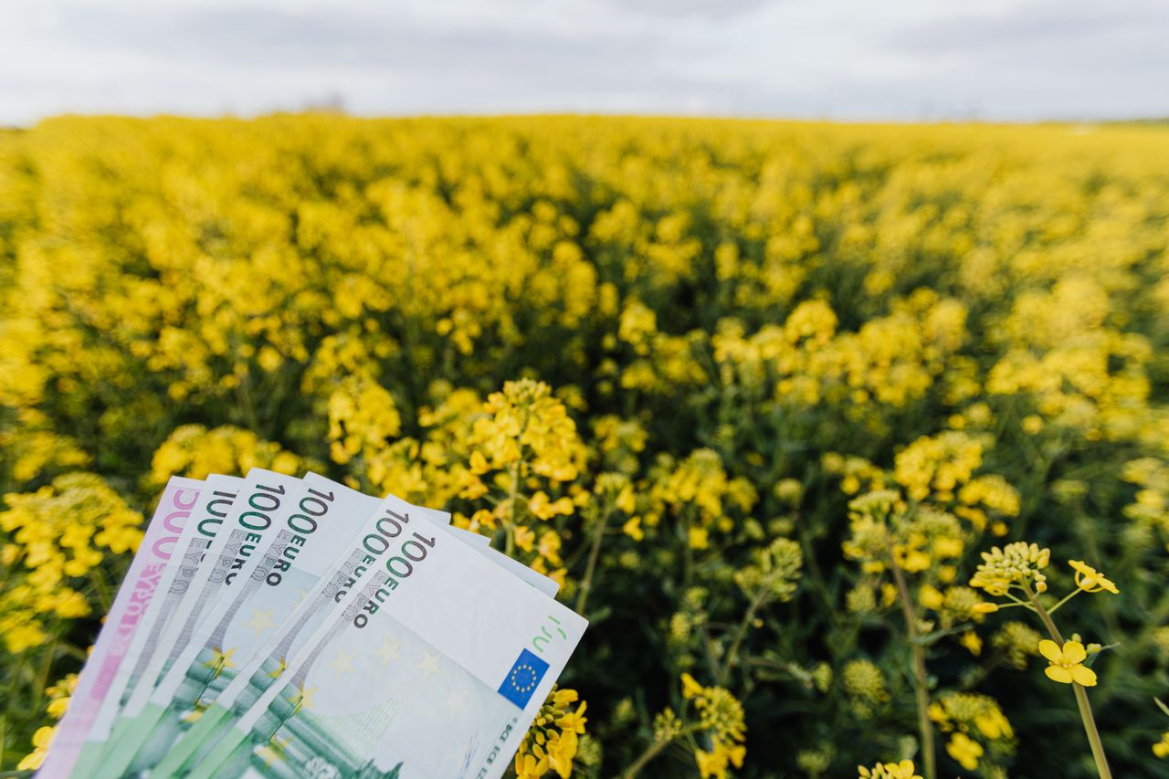 avantage en nature salarié déduction-Entrepreneur Anonyme Stratégie des Fractales