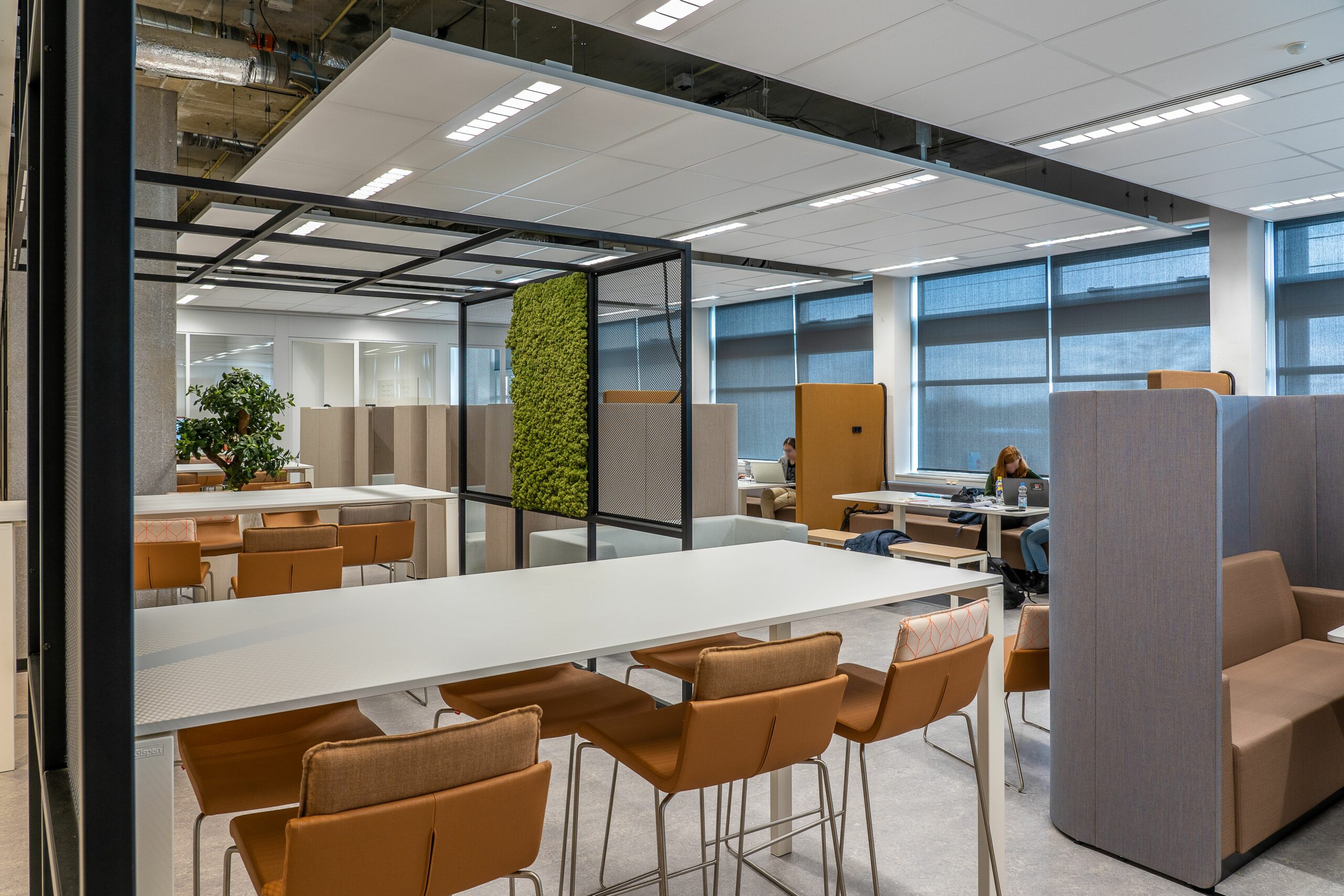 coworking espace ouvrir-Entrepreneur Anonyme Stratégie des Fractales