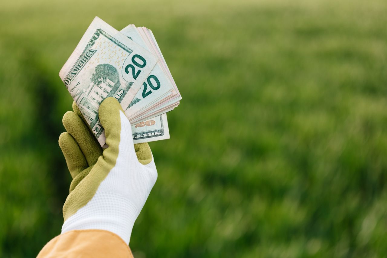 green business modèle rentable-Entrepreneur Anonyme Stratégie des Fractales