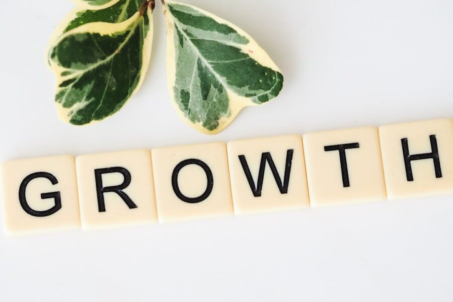 croissance durable entreprise-entrepreneur anonyme-strategie des fractales