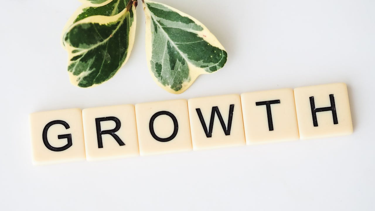 Croissance Durable Entreprise : Bâtissez une Scalabilité Antifragile avec les Fractales