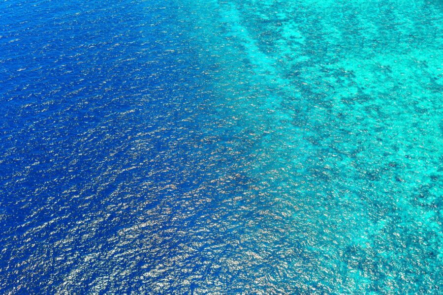 océan bleu stratégie exemple-strategie des fractales