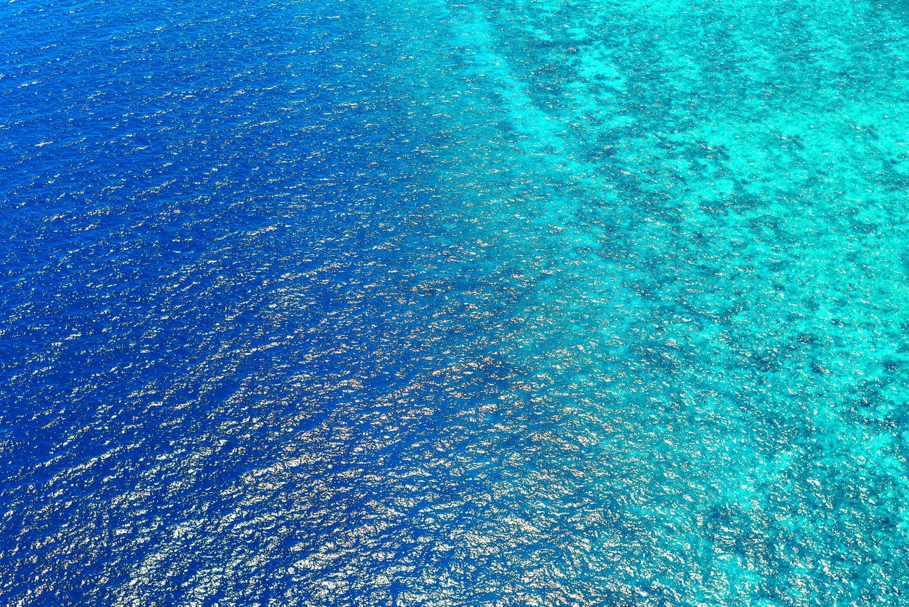 Stratégie Océan Bleu : Exemples Concrets pour les Entrepreneurs Français