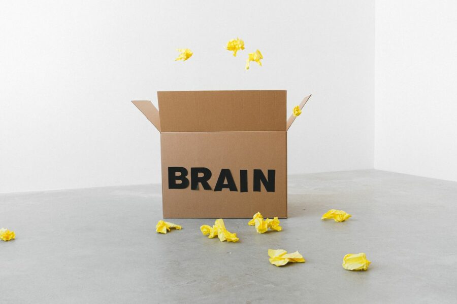 second cerveau PKM notion-strategie des fractales
