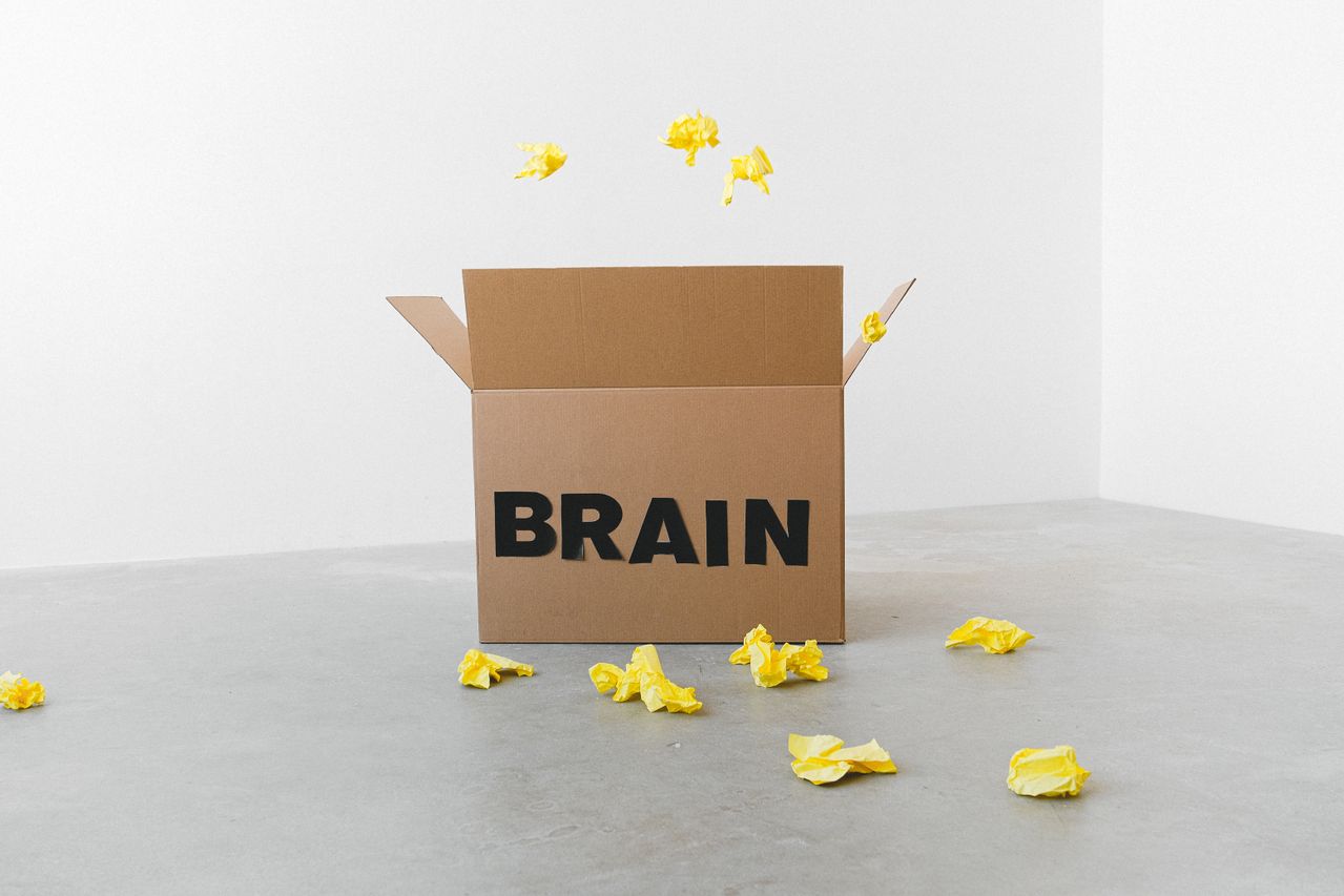 Second Cerveau : Construire Son Système de Connaissance pour Entreprendre