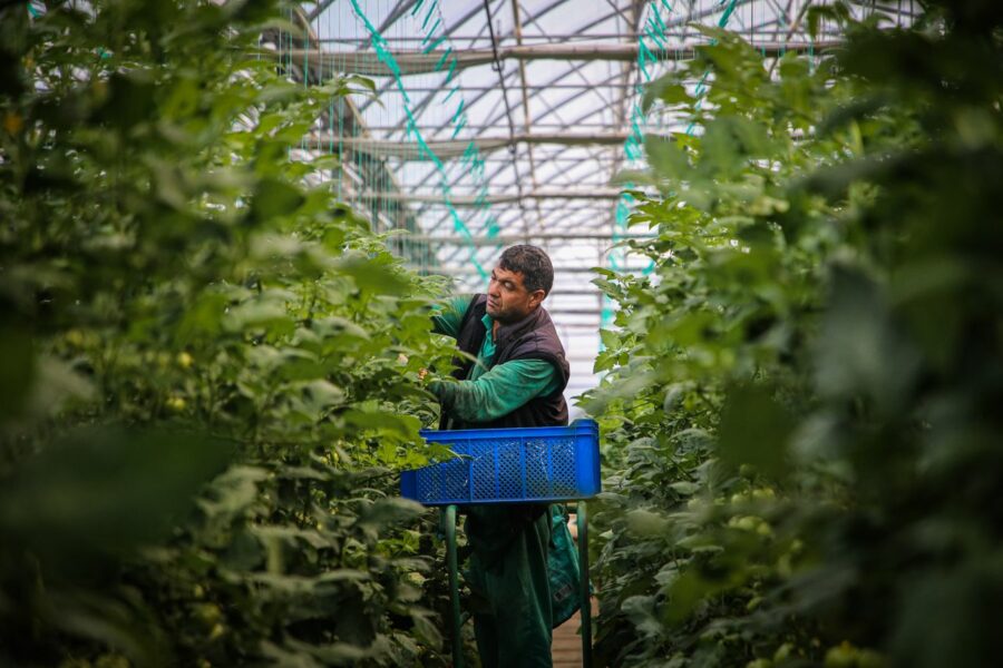 agri-tech startup agriculture-Entrepreneur Anonyme Stratégie des Fractales