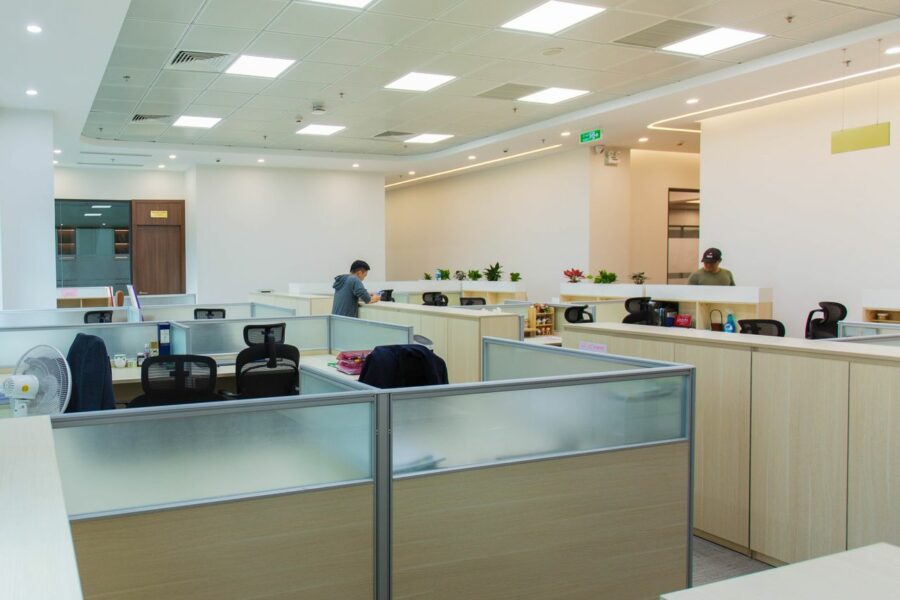 domiciliation entreprise choisir-Baby journal