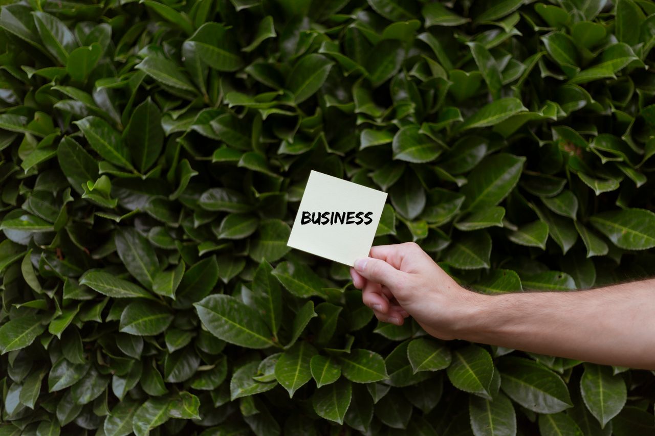 Green Business : Les Modèles Économiques Durables qui Sont Vraiment Rentables